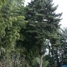 IMG_0455