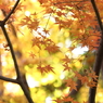 師走のひと時