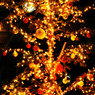tree。