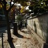 帰り道。