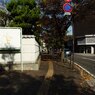 帰り道。