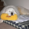 眠い・・・