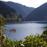静かな水面