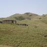 DSC00288