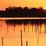 印旛沼　- そして朝陽が -