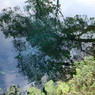 忍野八海