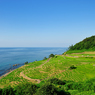 ７月「爽快！　白米の千枚田」