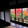 11月「瞰」