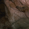 DPP_0014
