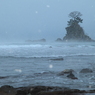 雪の雨晴海岸