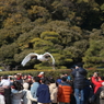 DPP_0025