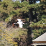 DPP_0027