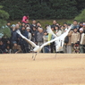助走