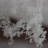 雪垂