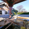 龍