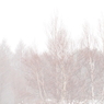 snow fall white