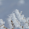 風の作った雪景色