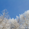 空と雪景色