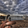 Trip to Syodo-shima:At the Himeji Harbor