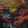 紅葉見頃の定光寺