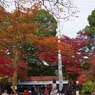 紅く染まった茶屋周辺