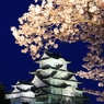 観桜会　2