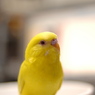 ここはどこだろう?