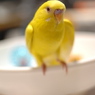 今までのとこより広くて明るいね