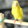 ひなたぼっこ