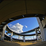 Field　under　the　loop　bridge