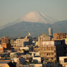 朝の富士山