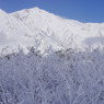 白馬岳