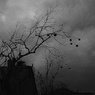 冬空