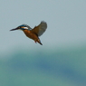 IMGP0898a