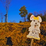 DSC00407