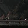 黒部の人々　＃１５