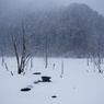 厳冬の自然湖