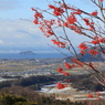 １月の小谷城跡より