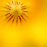  The sun