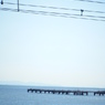 Seaside:1