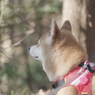 木を見て森を見る