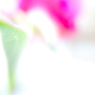 芍薬