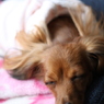 2011_04_18_9625