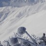 雪の花