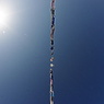 鯉のぼり　五月の空に　集結す!!!!!（FISH-EYE)