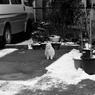 town watching#9