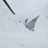 五箇山　ワンコ目線の雪歩道(^^ゞ