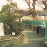 冬の散歩道