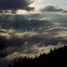 angel's ladder