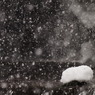 雪帽子